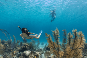 ATV Quad Bike and Snorkeling