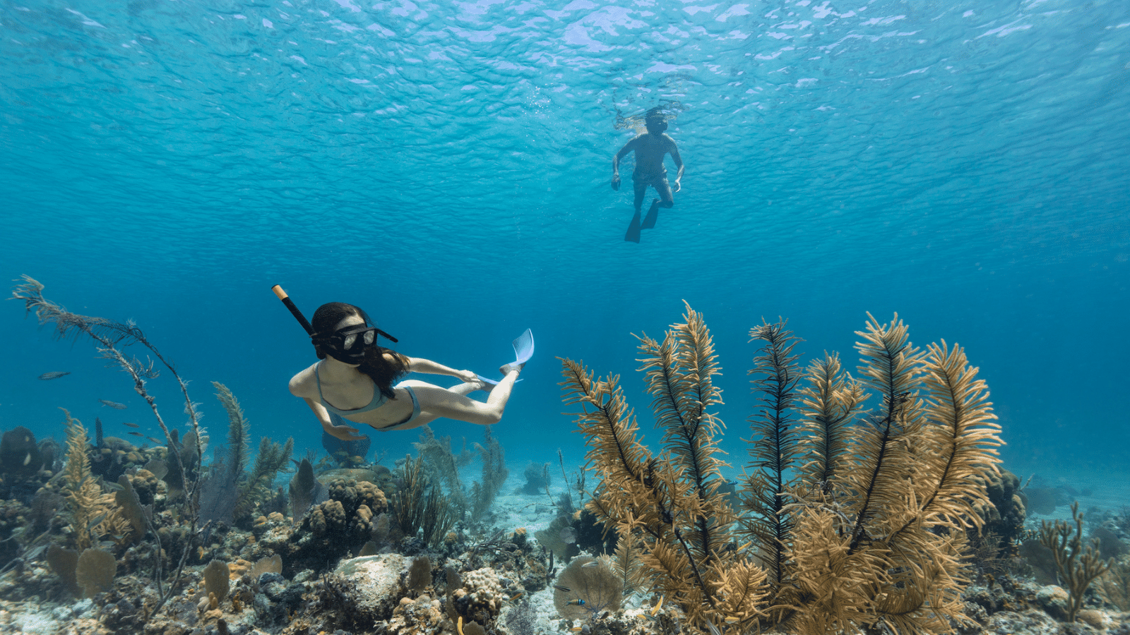 ATV Quad Bike and Snorkeling