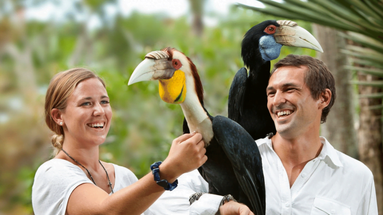 Bali Quad Bike - Bali Bird Park (2)