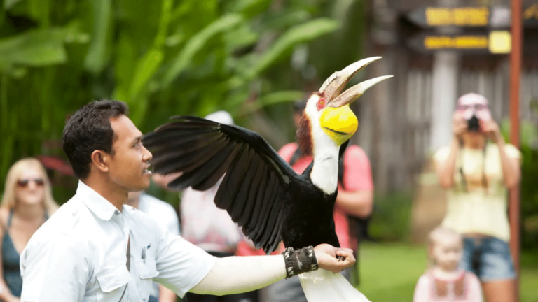 Bali Quad Bike - Bali Bird Park (3)