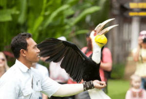 ubud quad biking and Bali Bird Park