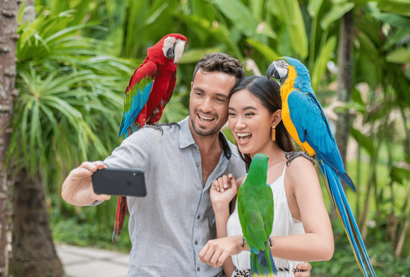 ubud ATV Bali and bali bird park