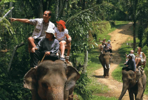 ATV Quad Bike and Elephant Ride Tour