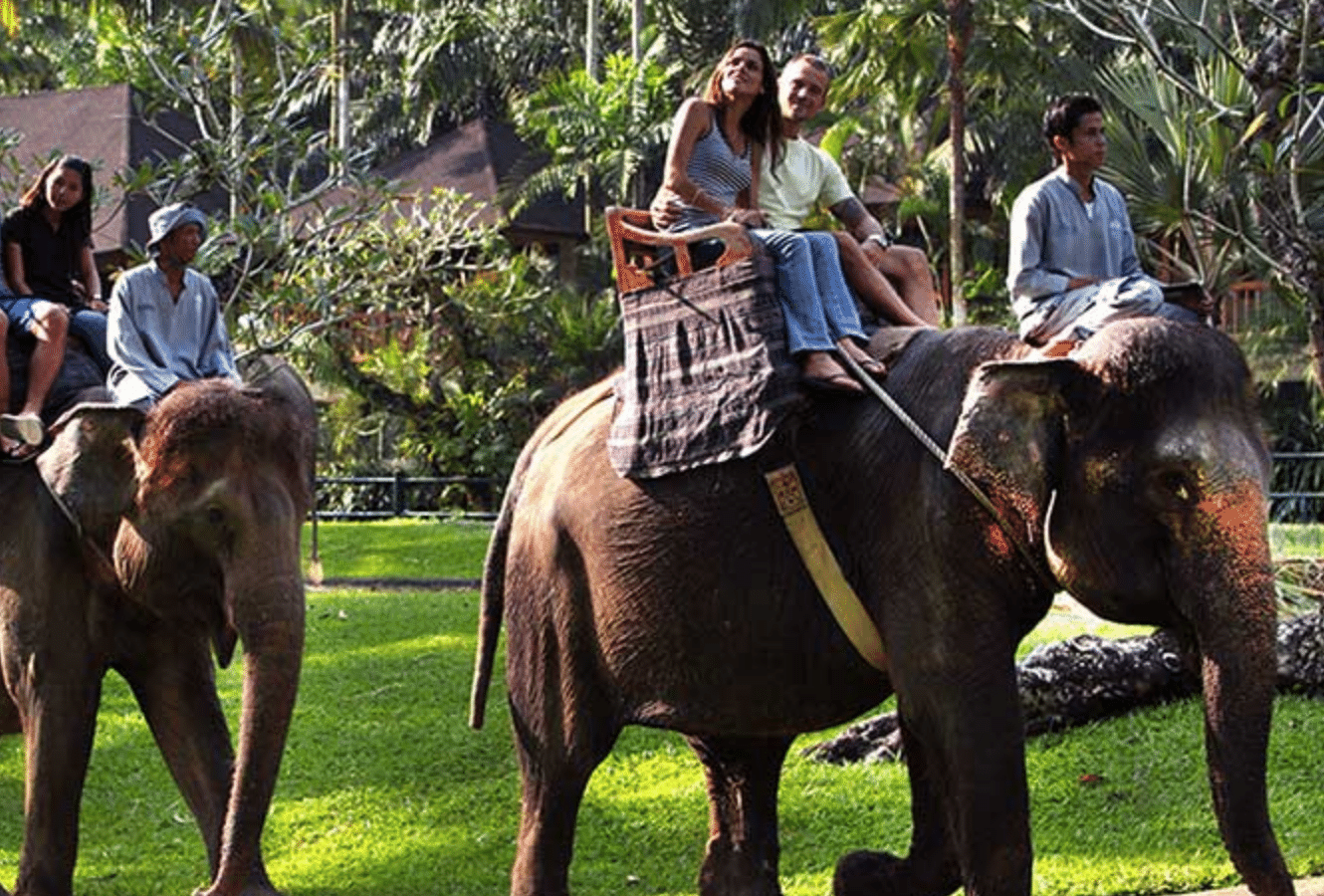 ATV Quad Bike and Elephant Ride Tour