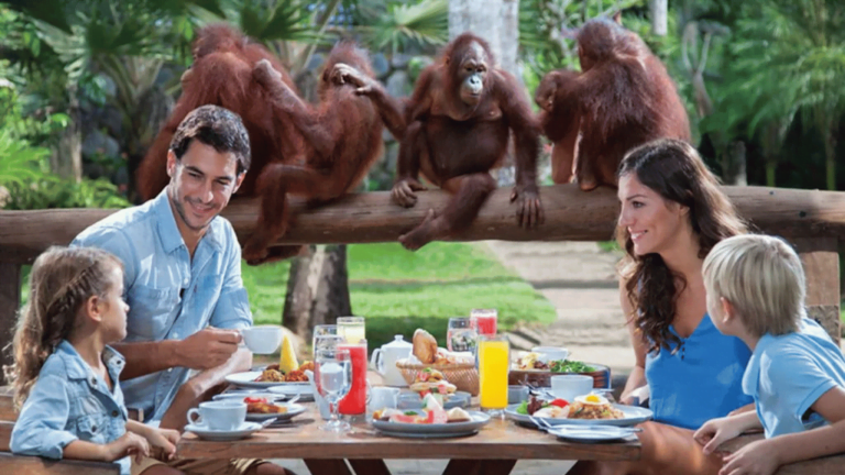 Kuber Bali ATV - Breakfast with Orangutan at Bali Zoo (2)