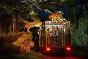 ubud quad biking Kuber Bali ATV night safari