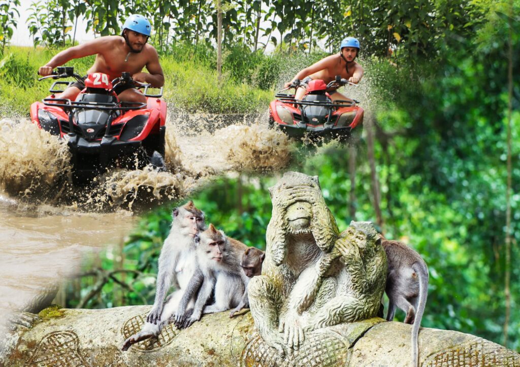 ubud quad bike and monkey forest