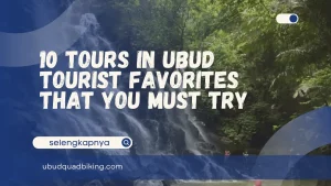 Tours in Ubud