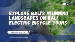 Bali Electric Bicycle