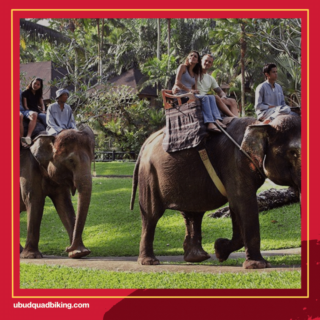 Elephant Sanctuary Bali