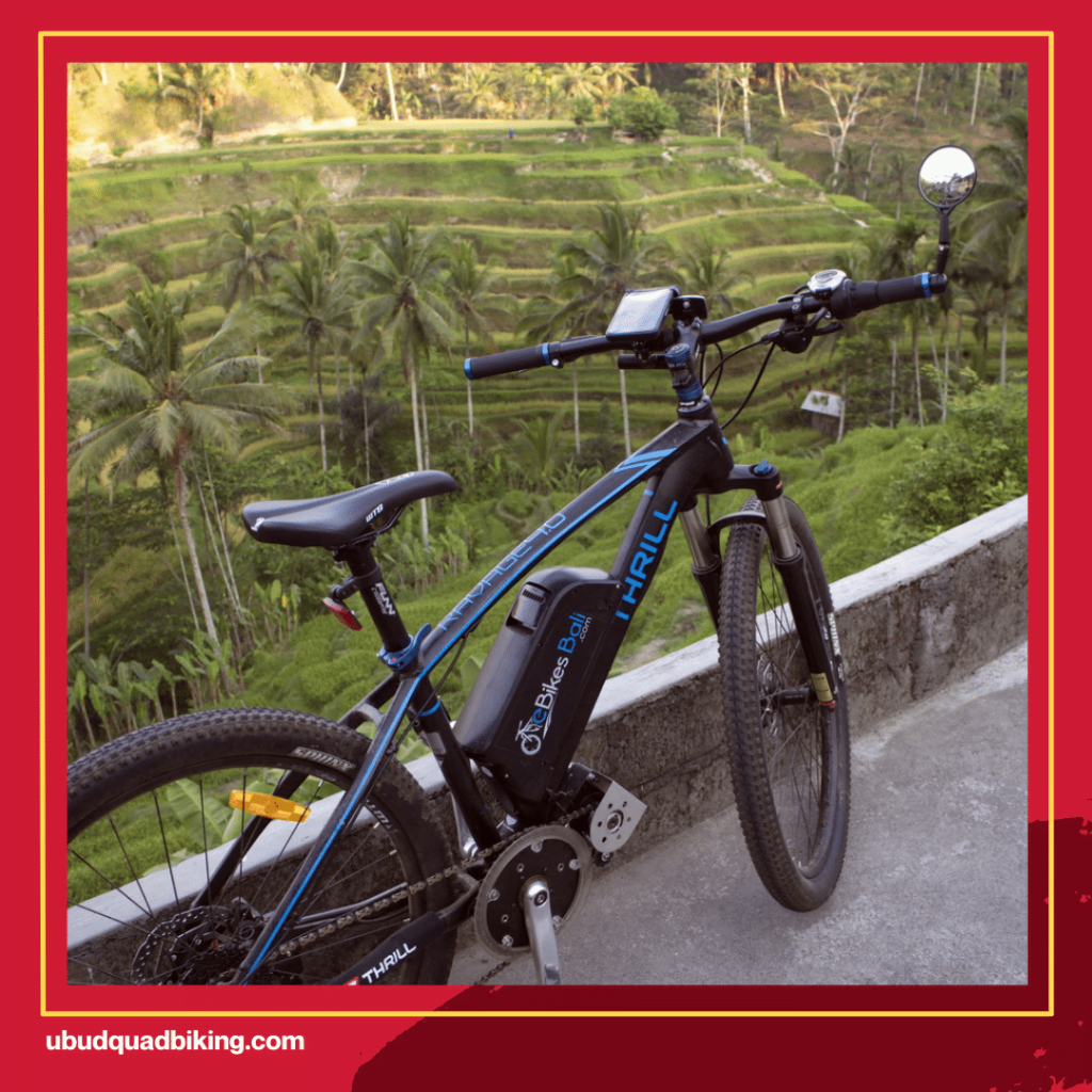 Bali Electric Bicycle