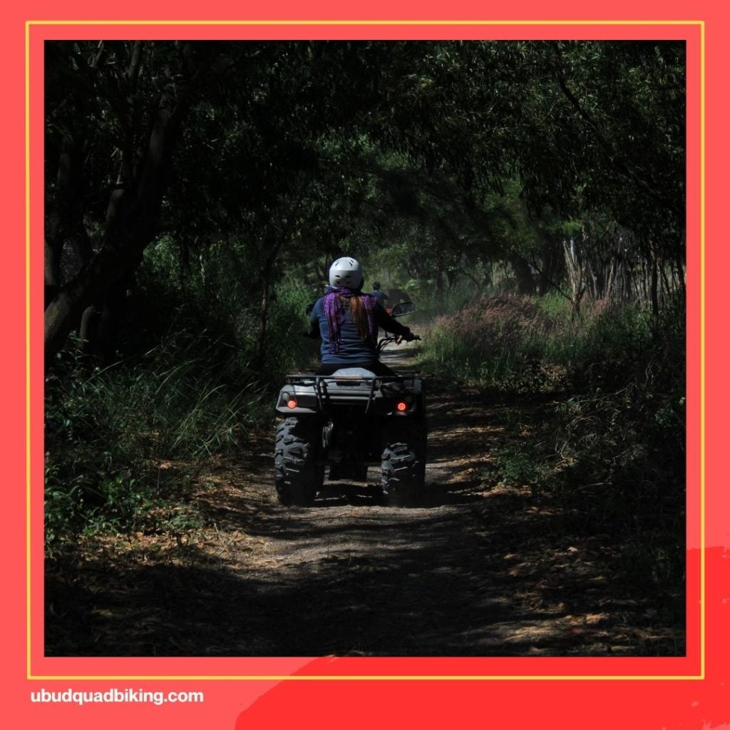 Bali Quad Bike Tours