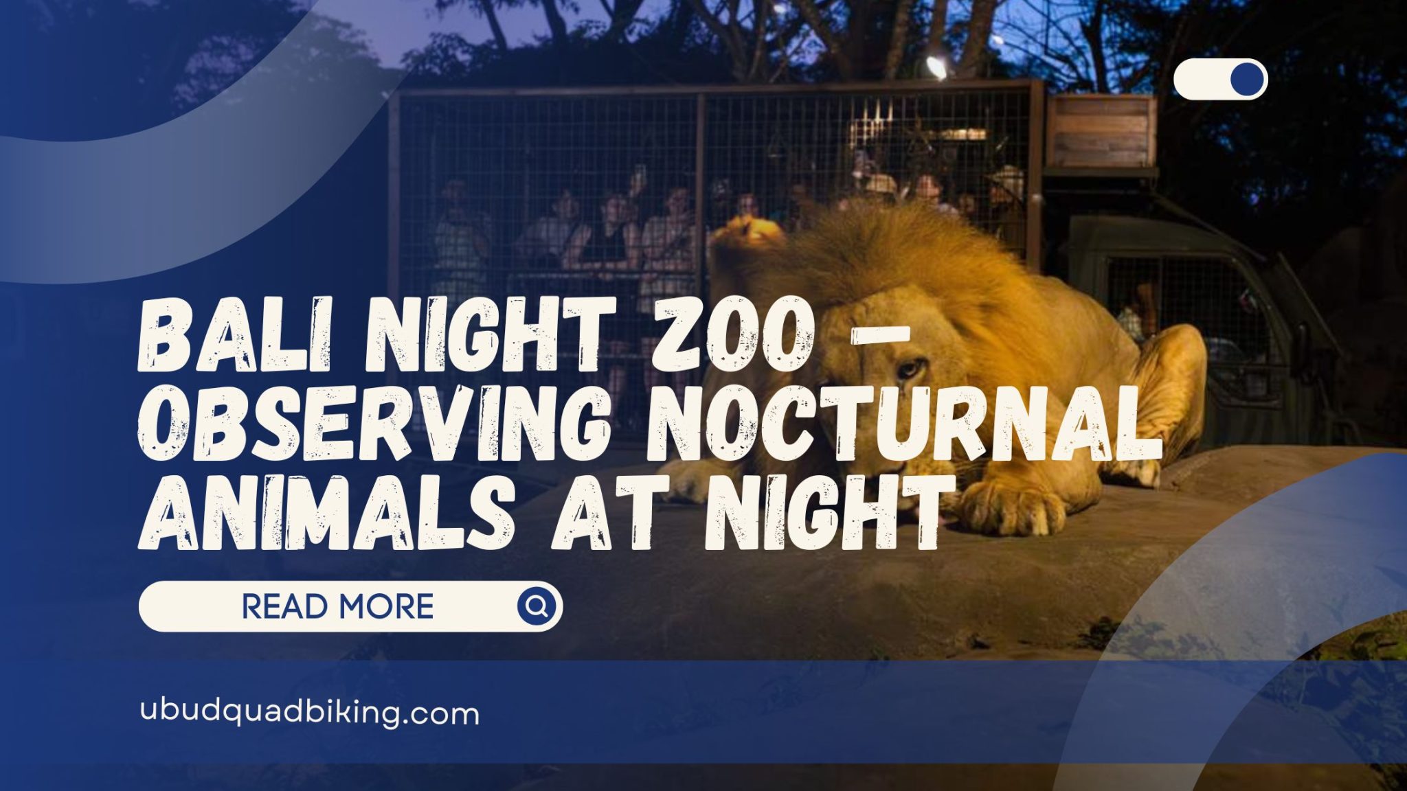 Bali Night Zoo – Observing Nocturnal Animals at Night