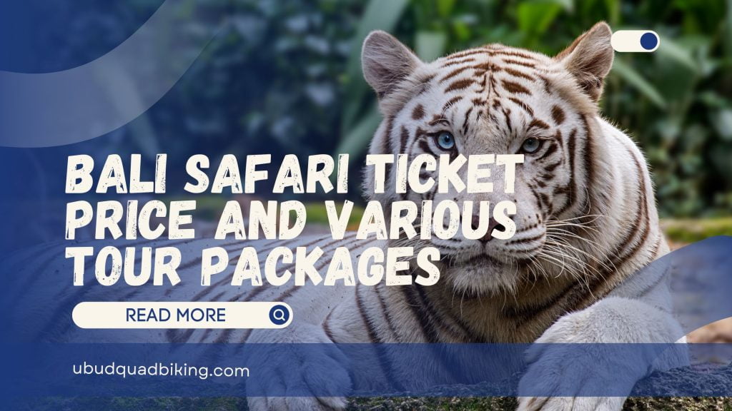 Bali Safari Ticket Price and Various Tour Packages