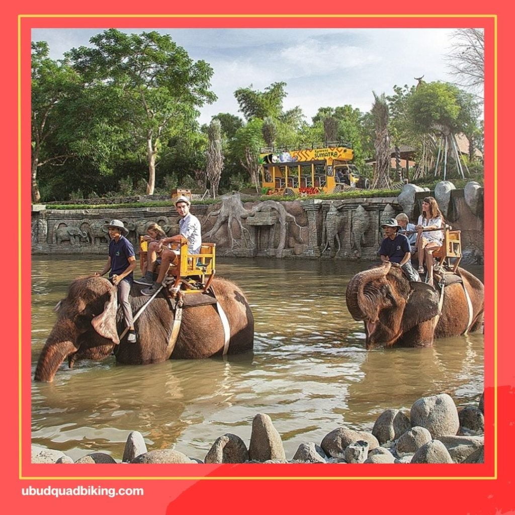 Bali Zoo elephant ride