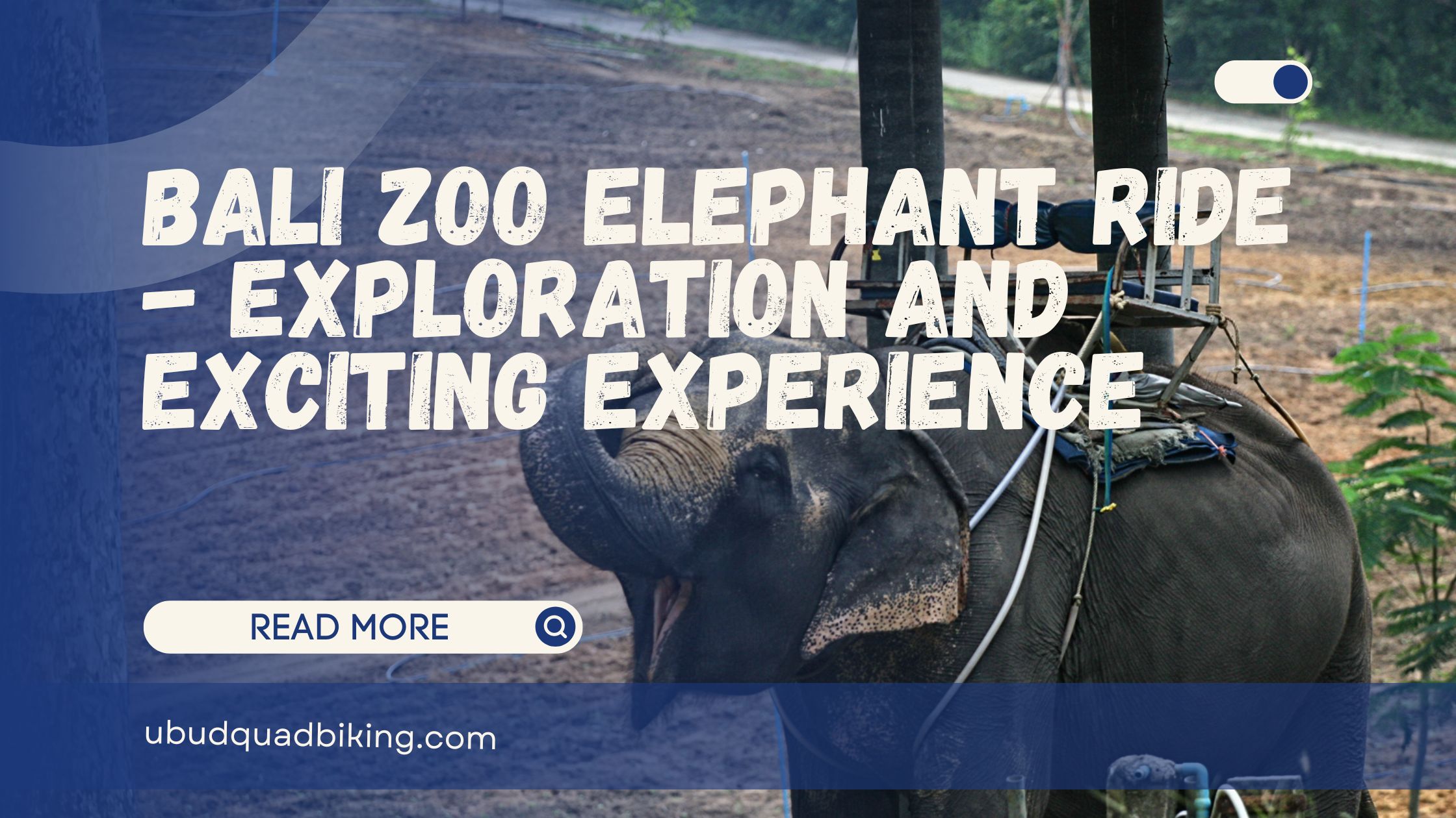 Bali Zoo Elephant Ride - Exploration and Exciting Experience