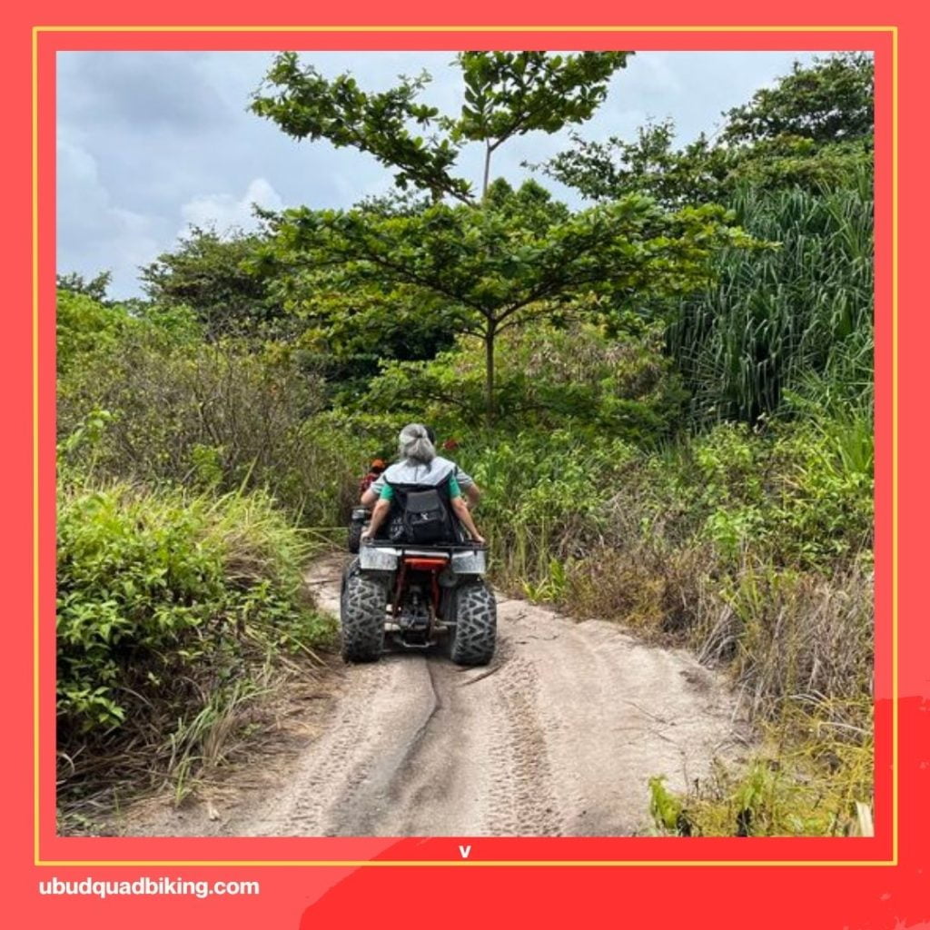 Quad Bike in Bali