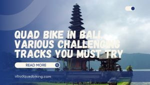 Quad Bike in Bali