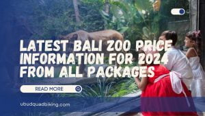 Bali zoo price