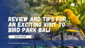 Bird Park Bali