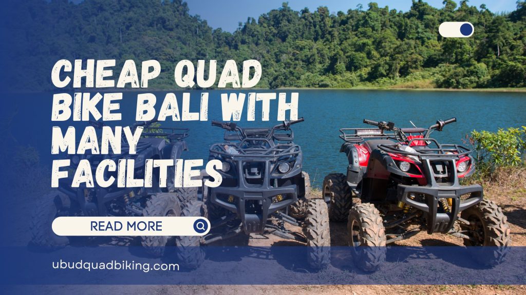 Cheap Quad Bike