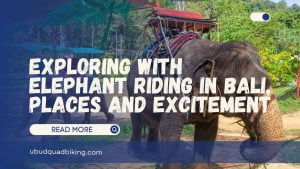 Elephant Riding in Bali