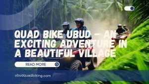 Quad Bike Ubud