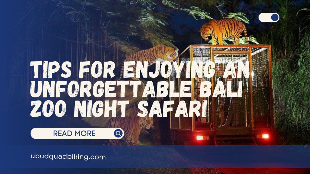 Zoo Night Safari