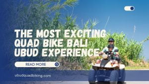 quad bike bali ubud