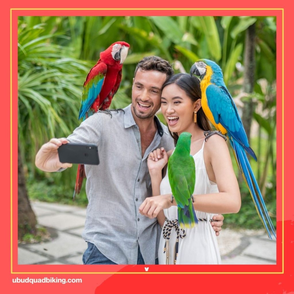 Bali Bird Park Tickets