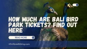 Bali Bird Park Tickets