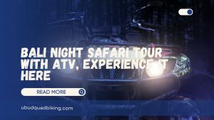 Bali Night Safari Tour