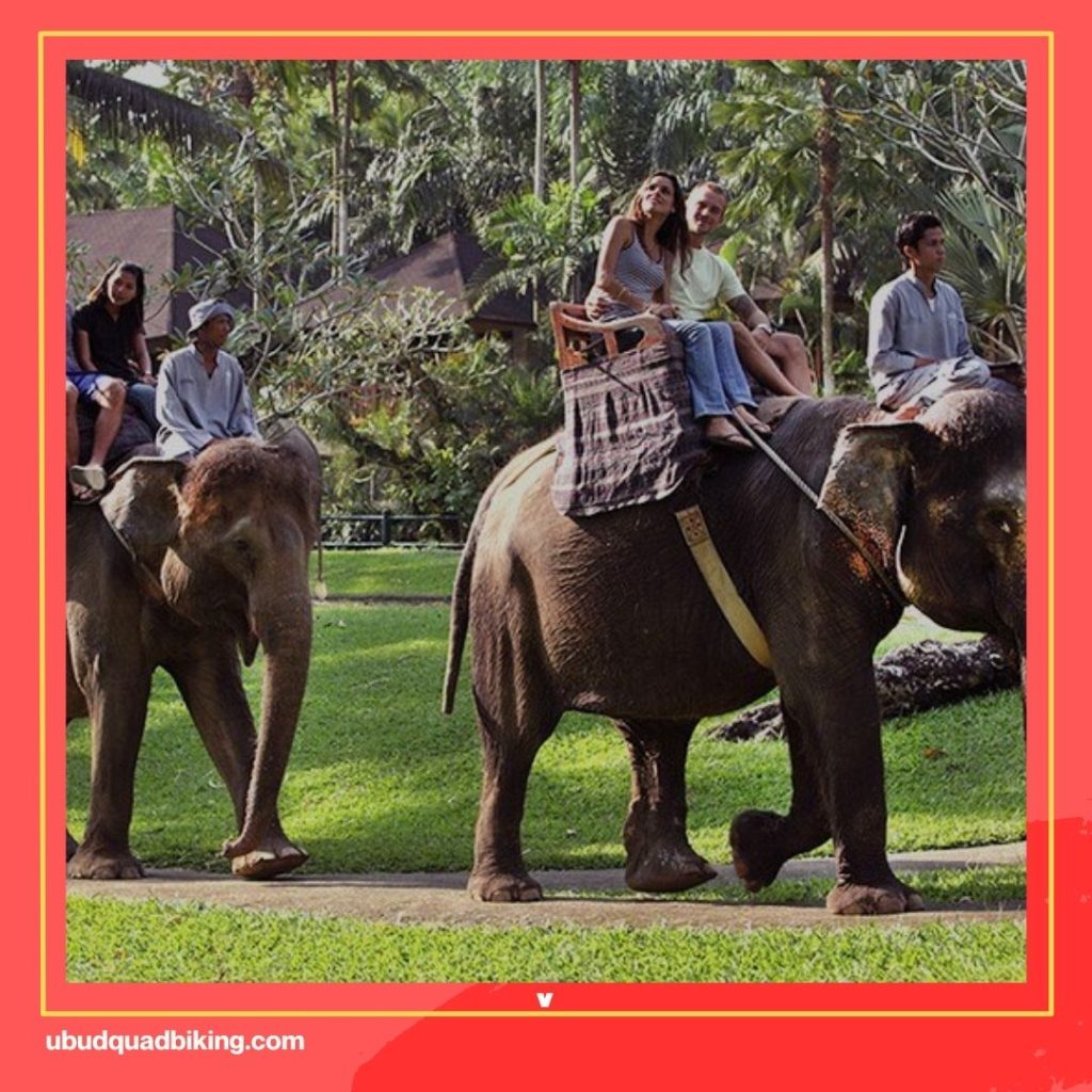 Elephant Park Bali