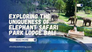 Elephant Safari Park Lodge Bali