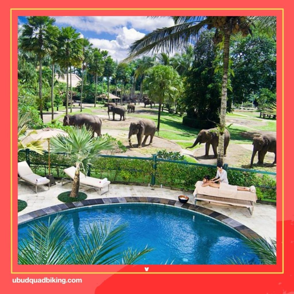 Elephant Sanctuaries in Bali