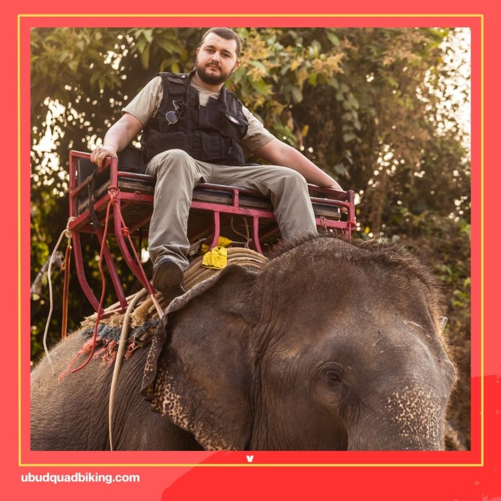 Elephant Tour in Bali