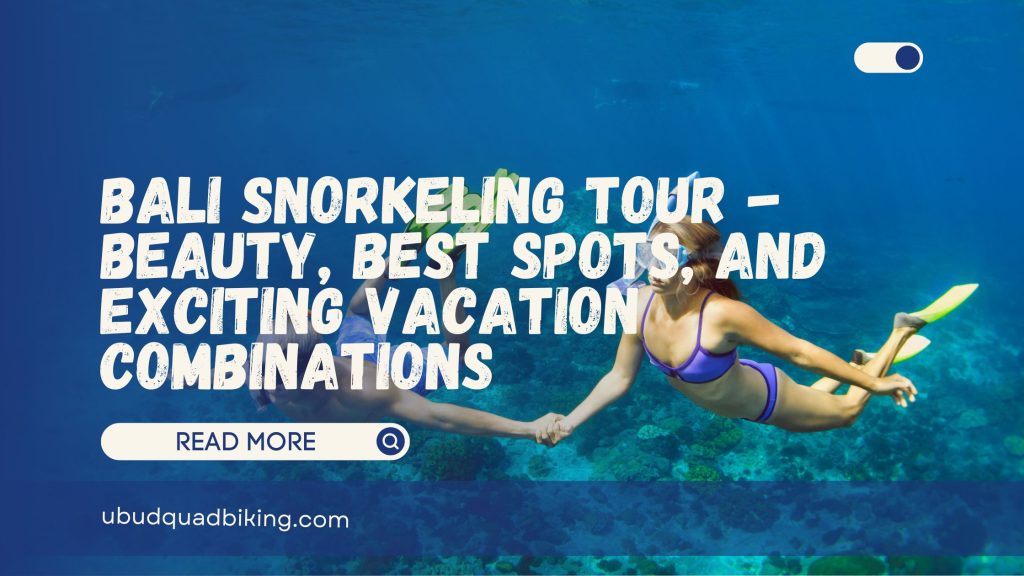 Bali Snorkeling Tour