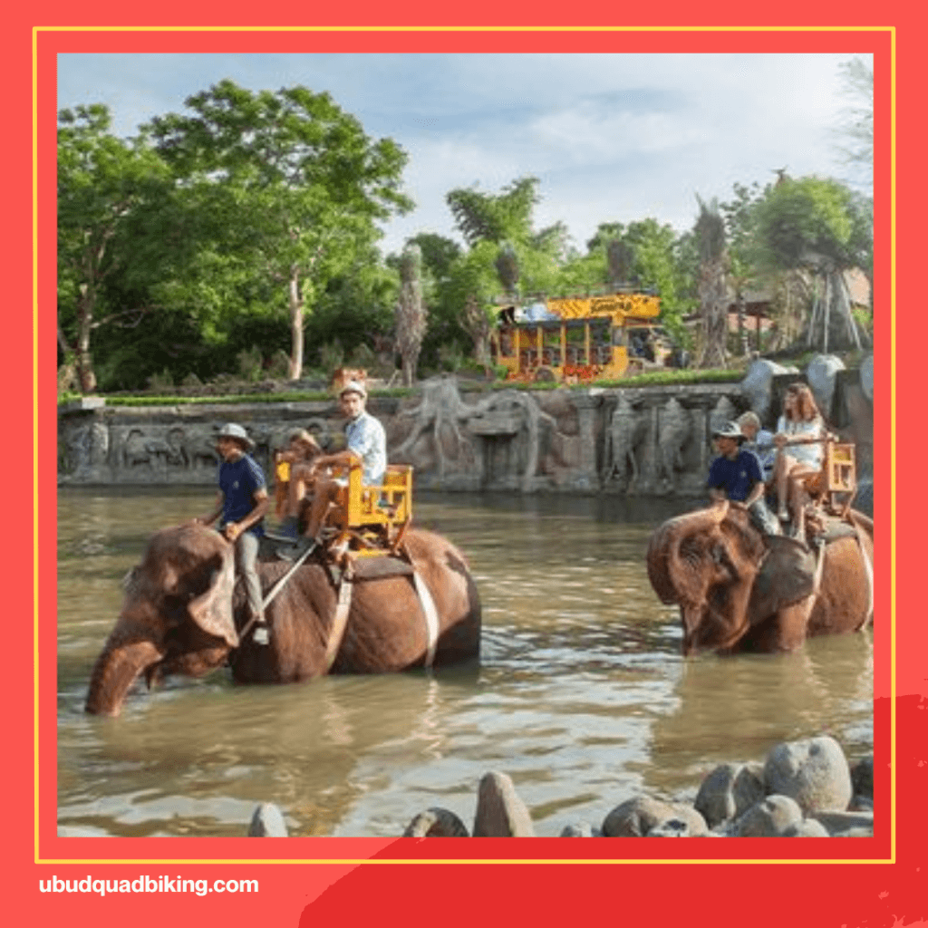 Bali Elephant Rides