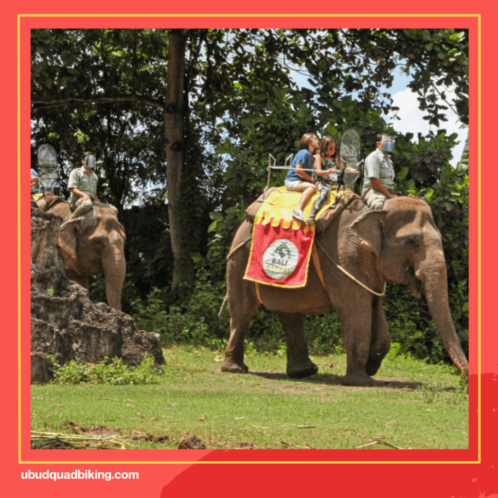 Bali Elephant Rides