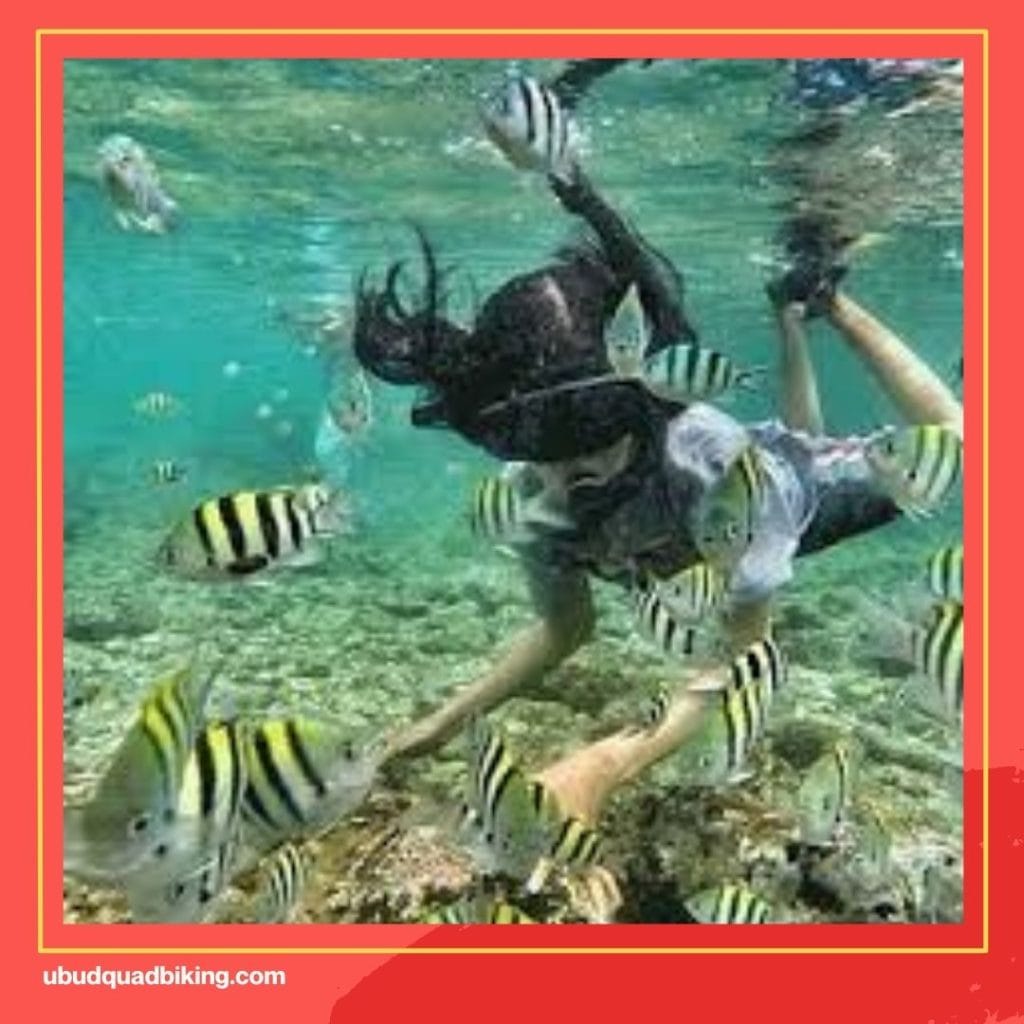 Padang Bai Snorkeling 