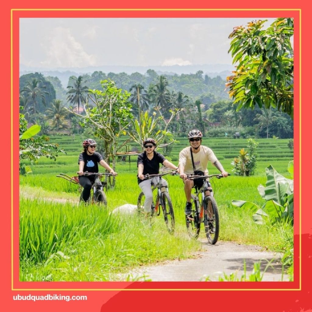 Cycling Bali at Kintamani to Ubud