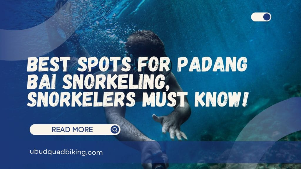 Padang Bai Snorkeling