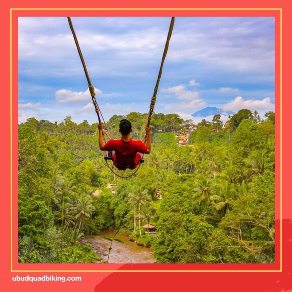 Jungle Swing Bali Photos