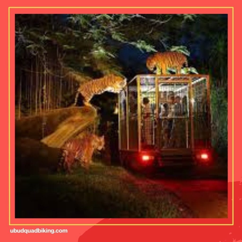 bali safari park night safari