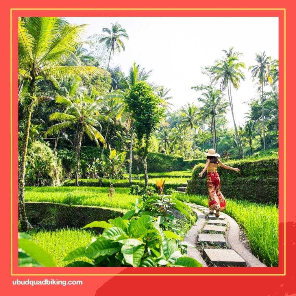 Ubud Bali Tour