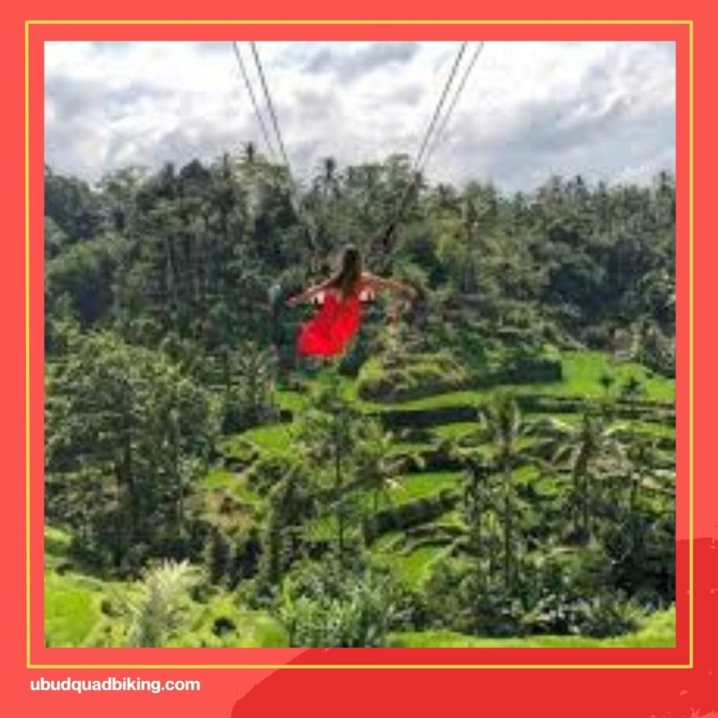 Bali Ubud Swing