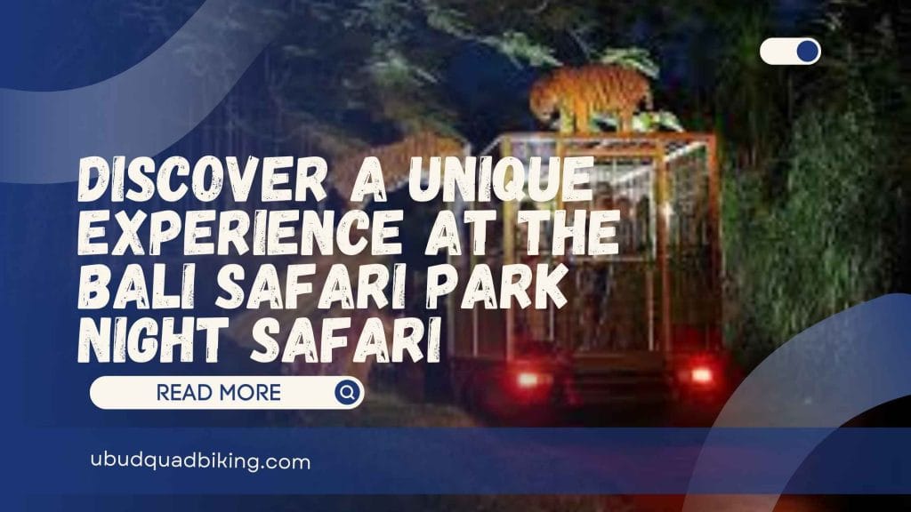 bali safari park night safari