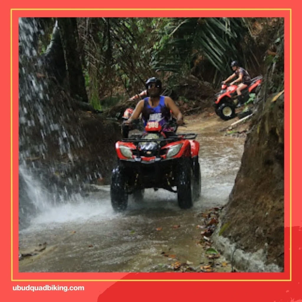 Bali Tarantula ATV