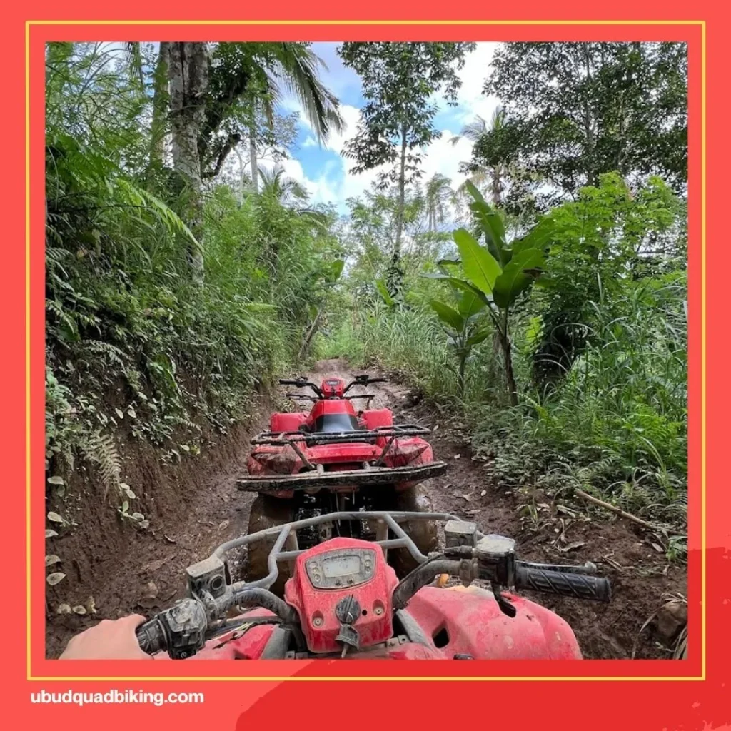 Abiansila Adventures Bali ATV