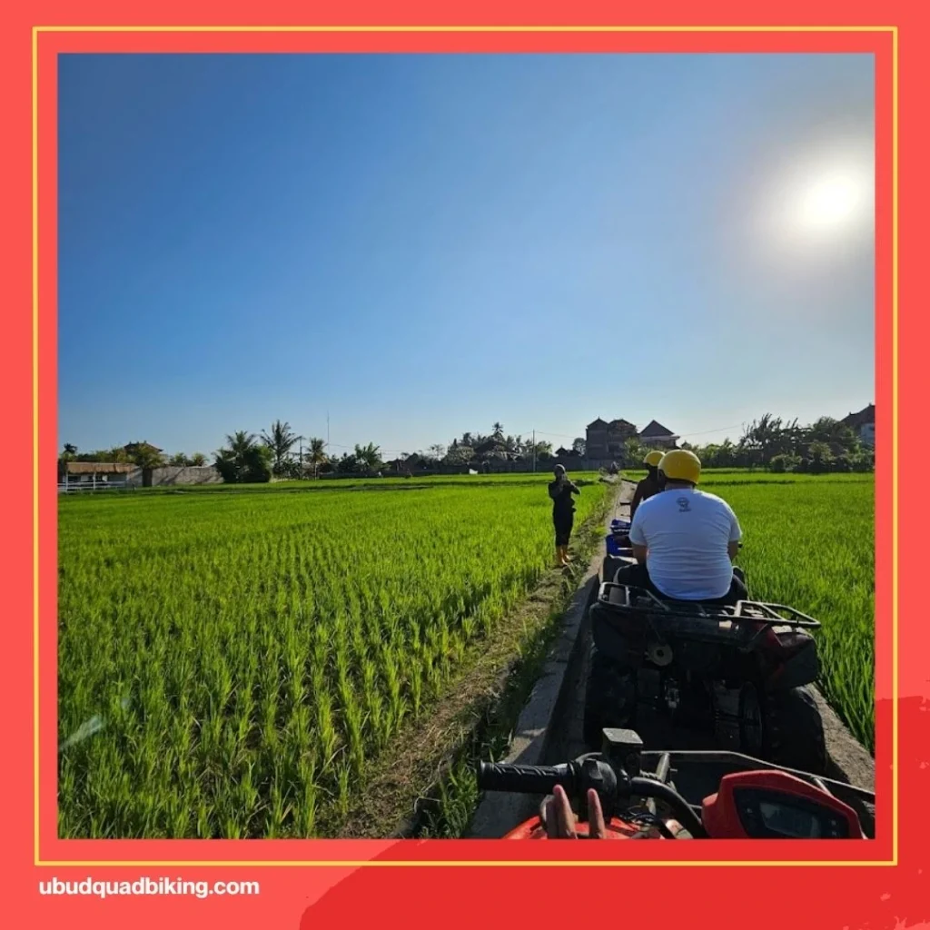 Beji River ATV Bali